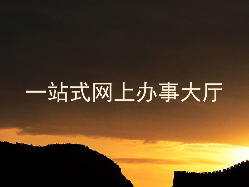 一站式网上办事大厅