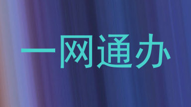 一网通办