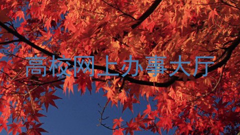 高校网上办事大厅