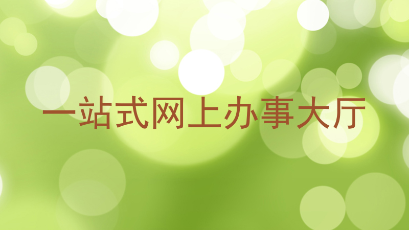 一站式网上办事大厅