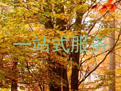一站式服务