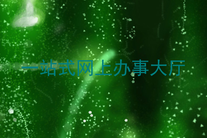 一站式网上办事大厅