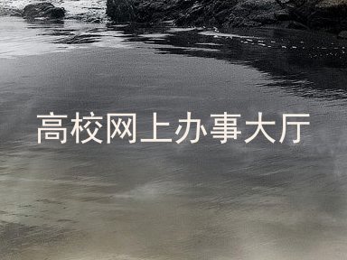 高校网上办事大厅