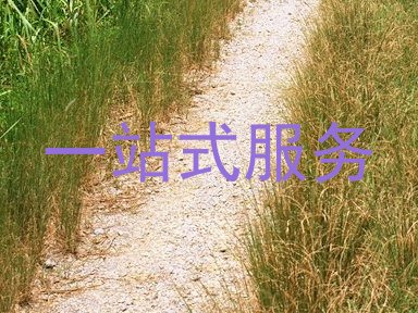 一站式服务