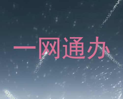 一网通办