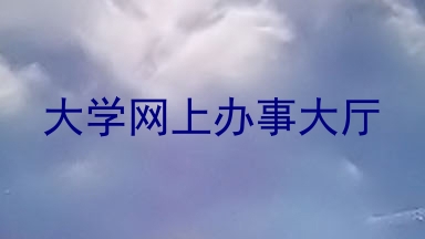 大学网上办事大厅