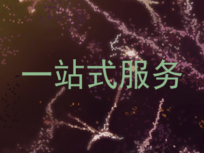 一站式服务