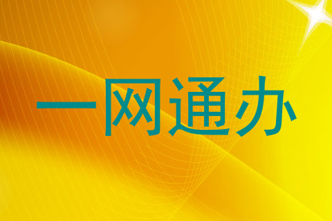 一网通办