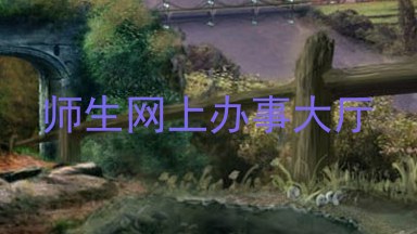 师生网上办事大厅