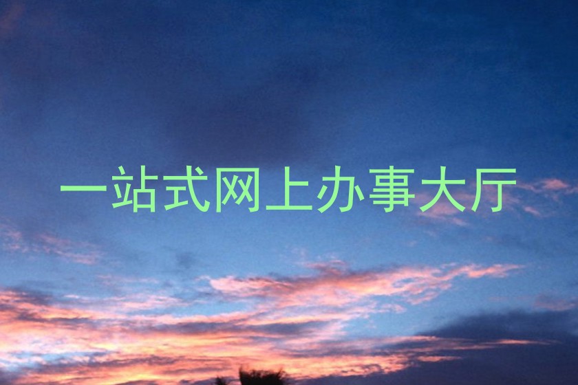 一站式网上办事大厅