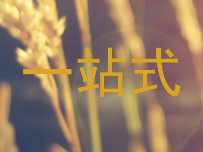 一站式