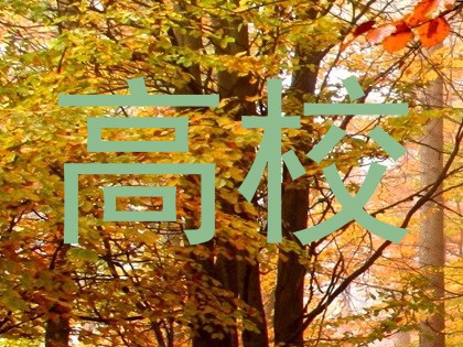高校