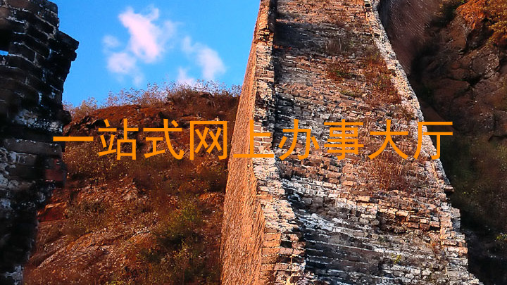 一站式网上办事大厅