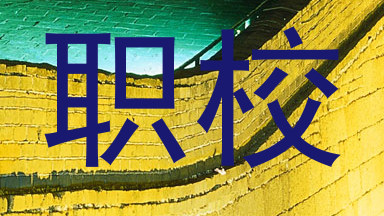 职校