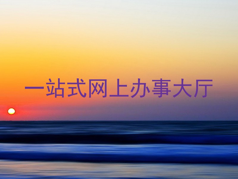 一站式网上办事大厅