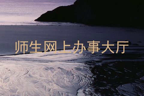 师生网上办事大厅