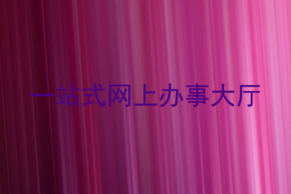 一站式网上办事大厅