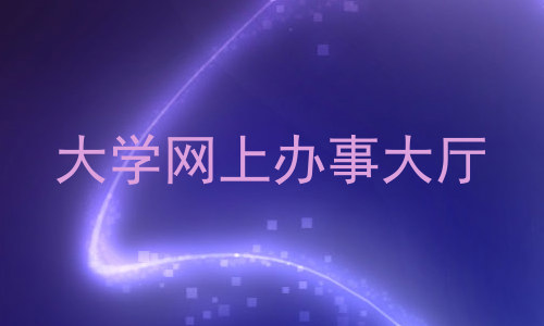 大学网上办事大厅