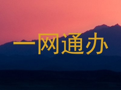 一网通办