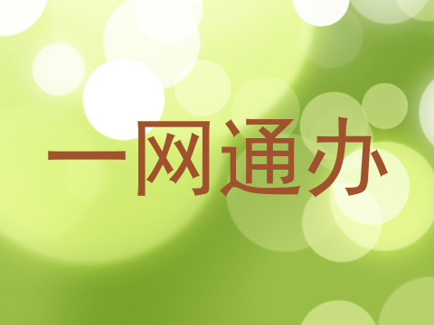 一网通办