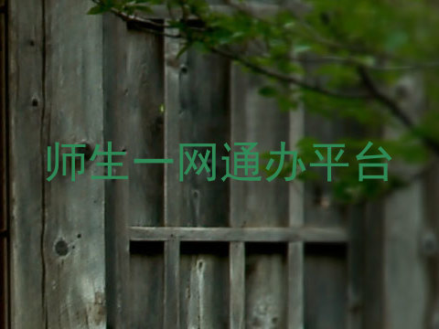 师生一网通办平台