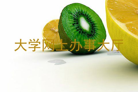 大学网上办事大厅