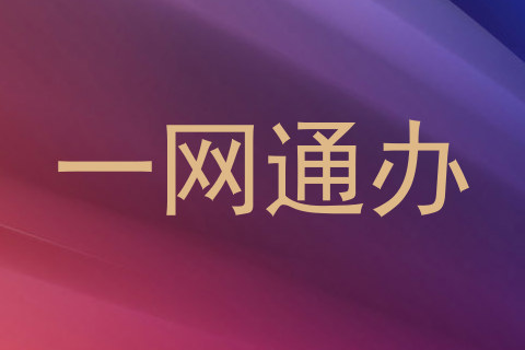 一网通办