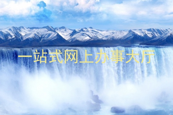 一站式网上办事大厅