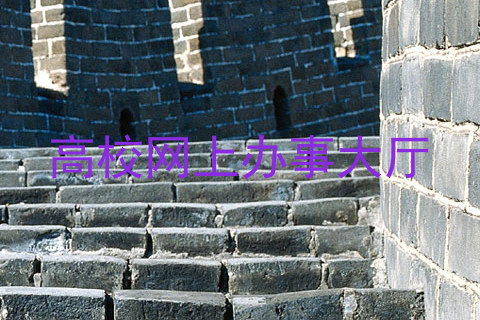 高校网上办事大厅