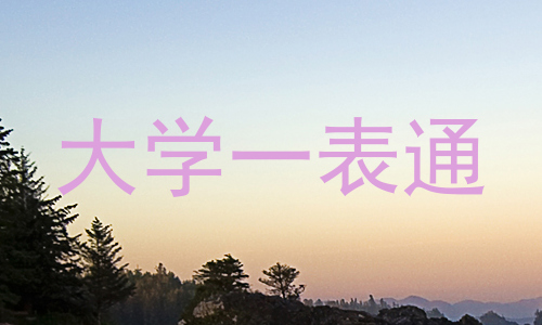 大学一表通