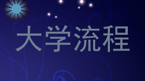 大学流程
