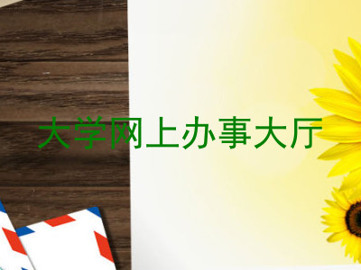 大学网上办事大厅