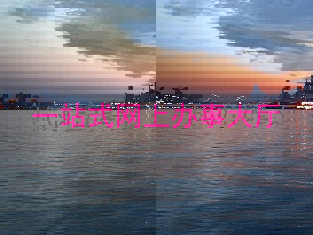 一站式网上办事大厅