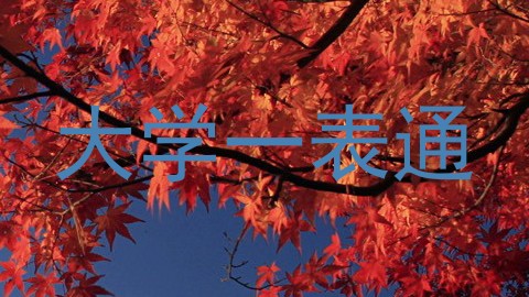 大学一表通
