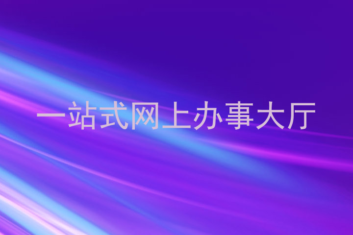 一站式网上办事大厅