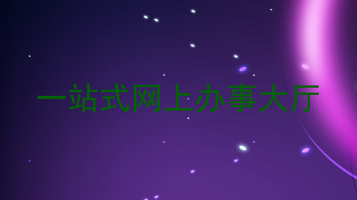 一站式网上办事大厅