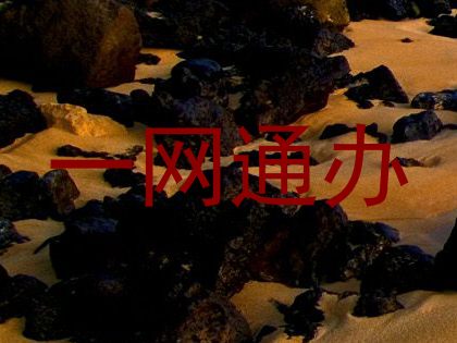 一网通办