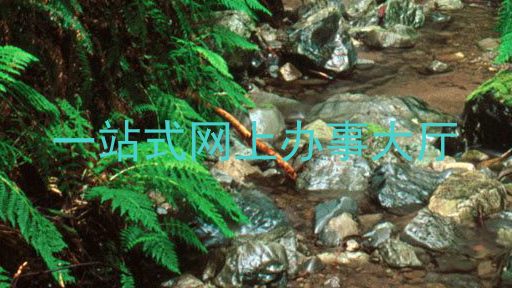 一站式网上办事大厅