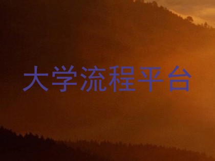 大学流程平台