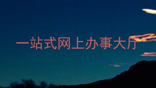 一站式网上办事大厅