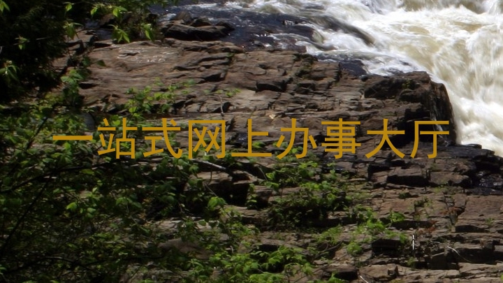 一站式网上办事大厅