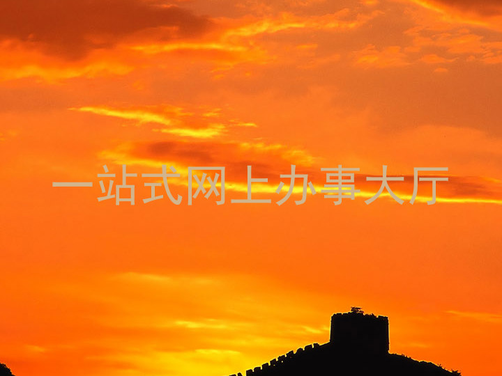 一站式网上办事大厅