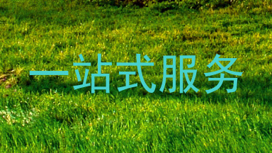 一站式服务