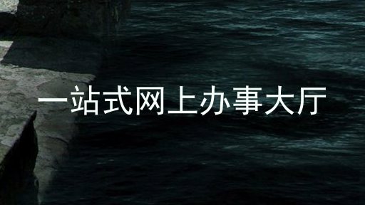 一站式网上办事大厅