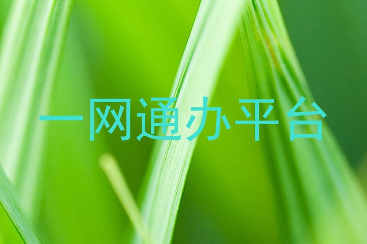 一网通办平台