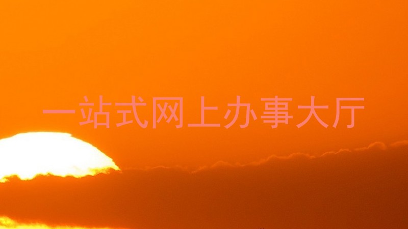 一站式网上办事大厅