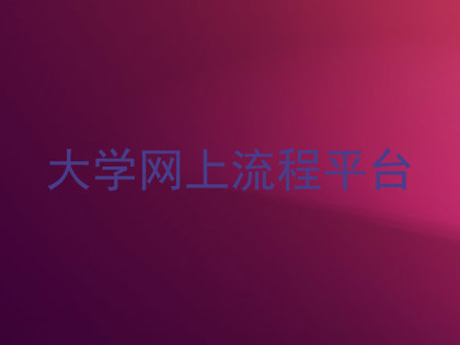大学网上流程平台