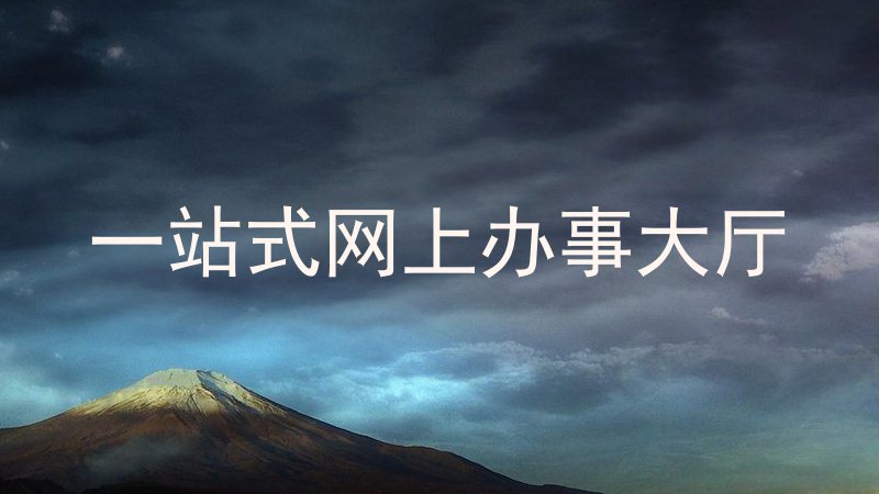 一站式网上办事大厅