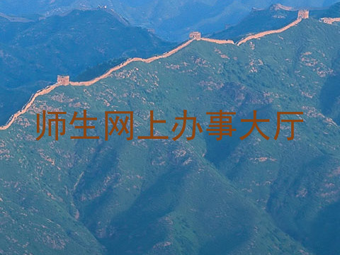 师生网上办事大厅