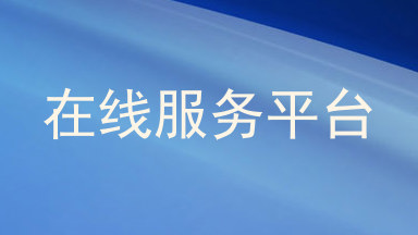 在线服务平台